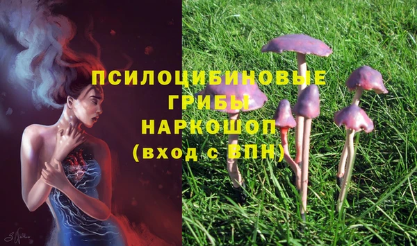 первитин Зеленокумск