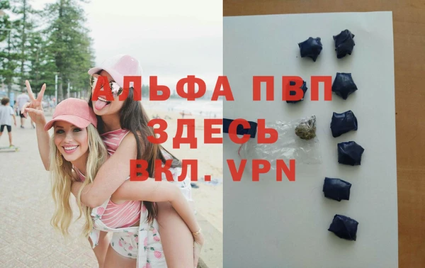 гашик Заводоуковск