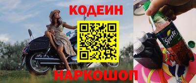 индика Можга