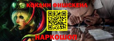 индика Можга