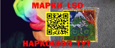 индика Можга