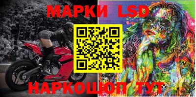 индика Можга