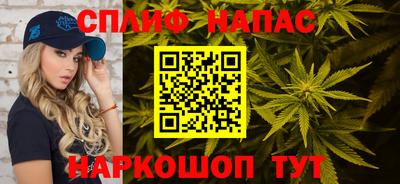 индика Можга