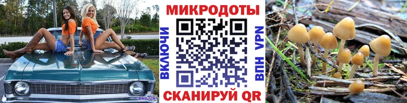 закладки Свободный Галлюциногенные грибы ЛСД