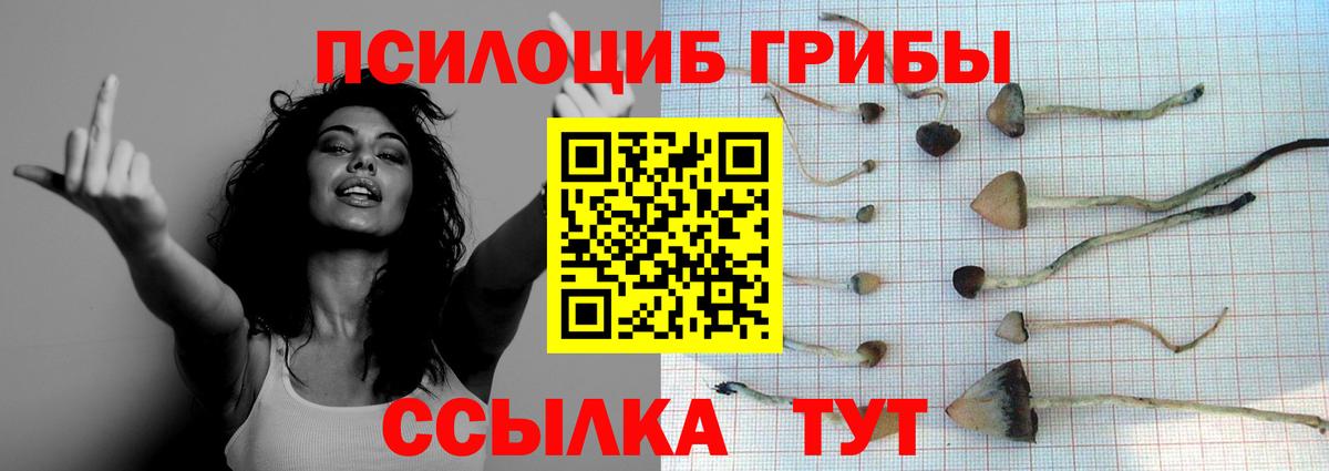 Псилоцибиновые грибы мухоморы  Псилоцибиновые грибы мицелий  Свободный  магазин  наркотиков  Вход с VPN 